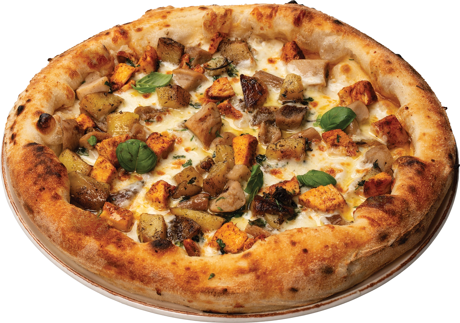 Pollo e Porcini